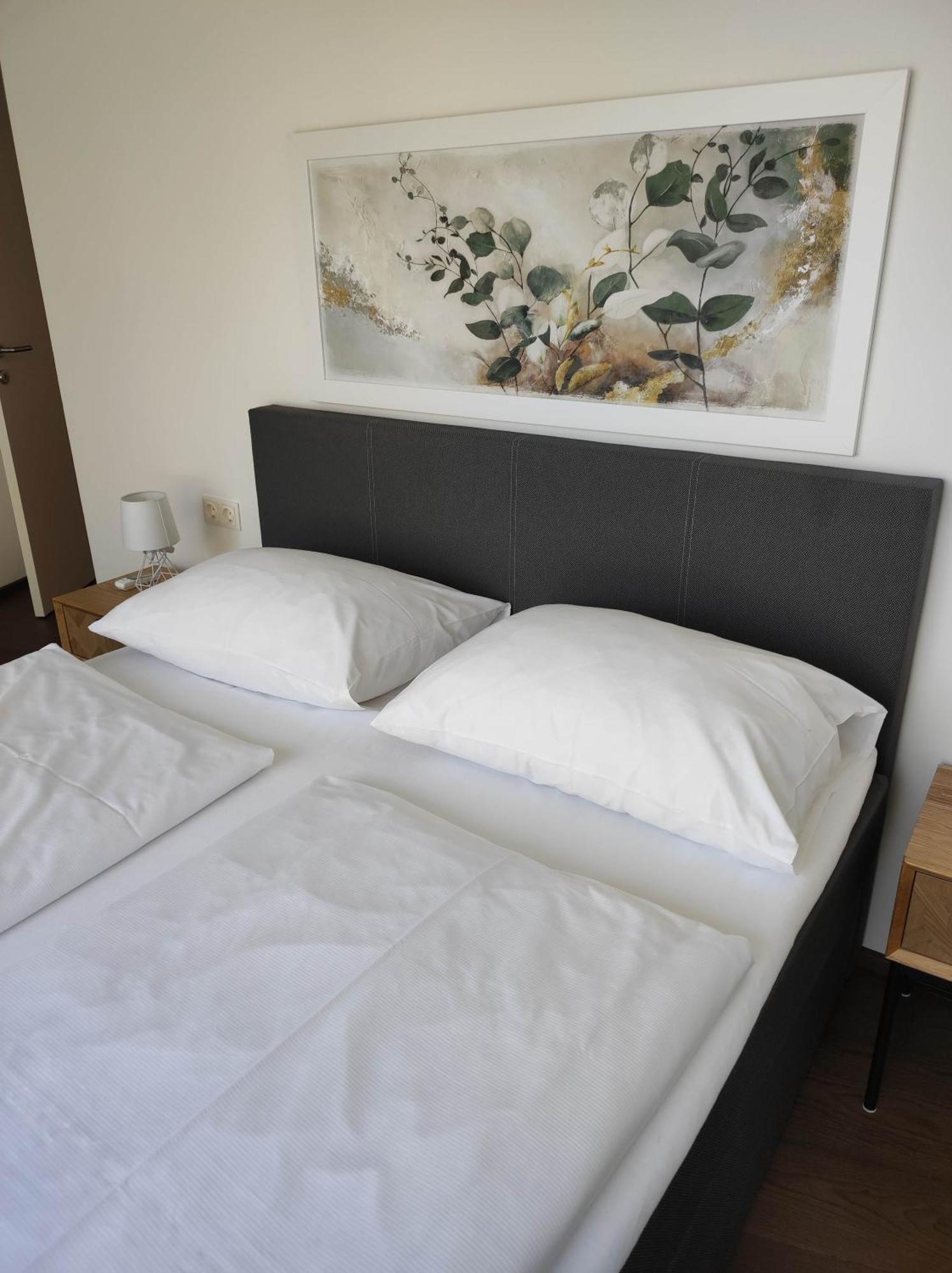 Luxus Penthouse Gegenueber International Centre Und Kaiserwasser Appartamento *